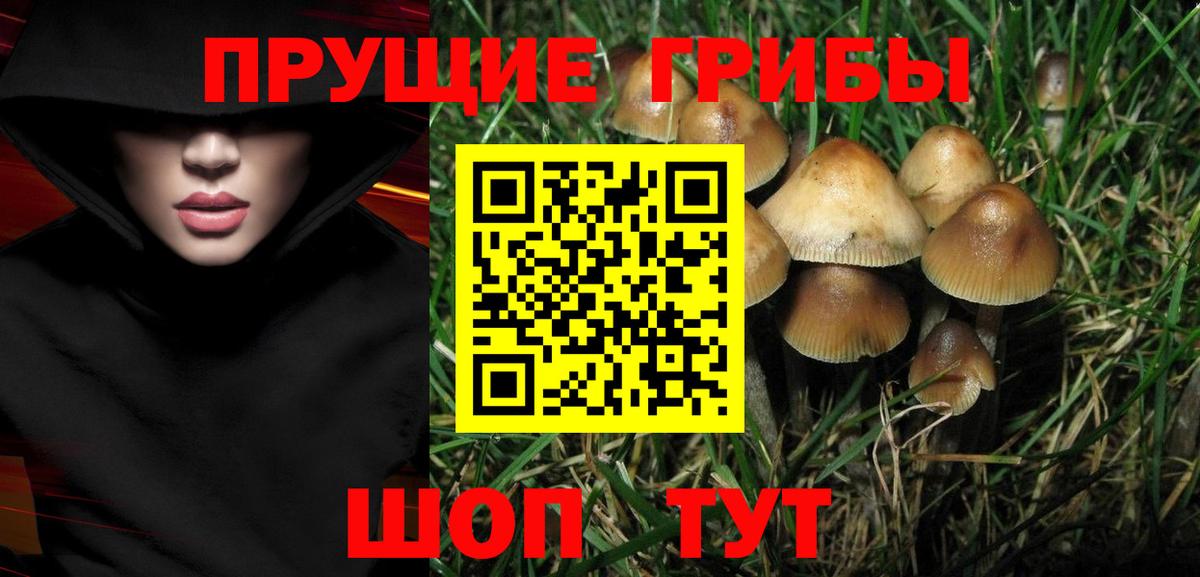 Галлюциногенные грибы прущие грибы Сорочинск