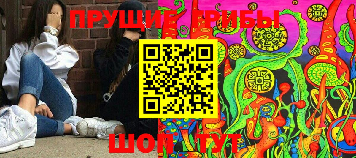Галлюциногенные грибы Cubensis  Вход с VPN  Сорочинск 